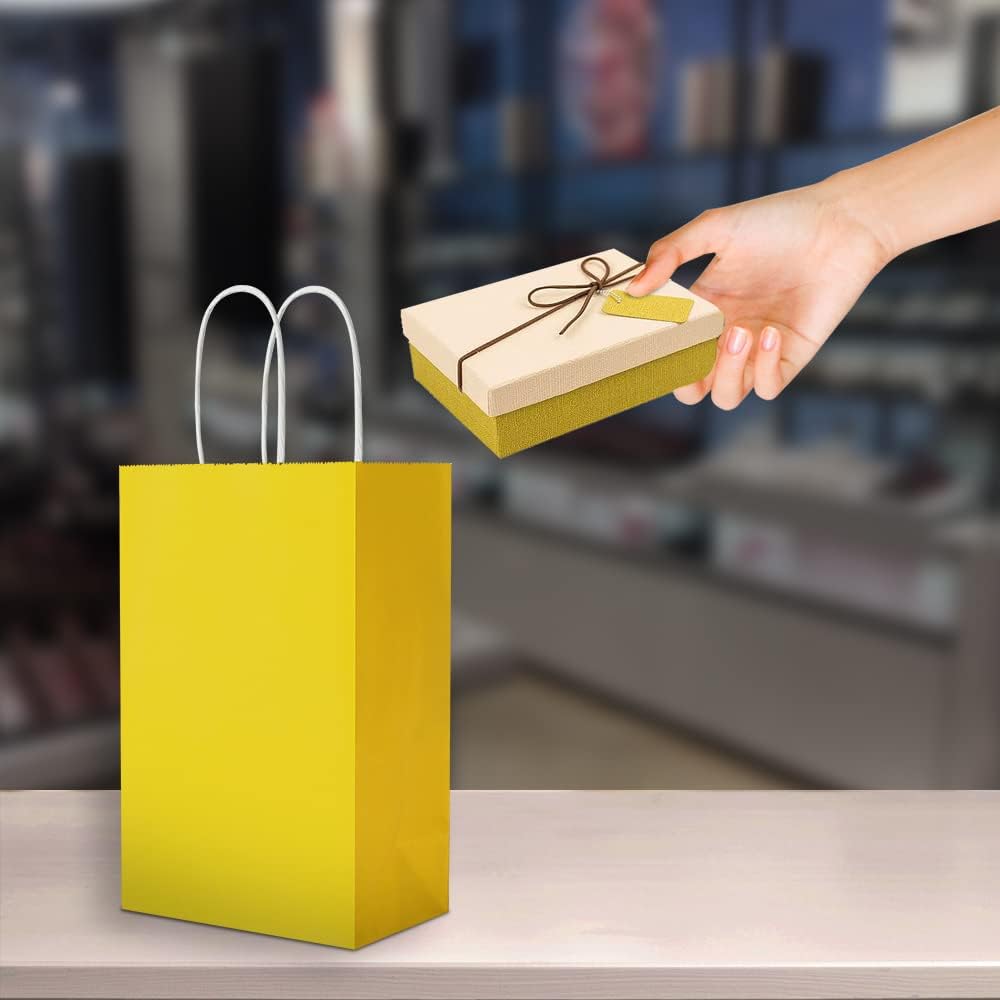 Oikss 100 Pack 5.25x3.25x8.25 Inch Small White Kraft Paper Bags with Handles Bulk for Birthday Wedding Party Favors Grocery Retail Shopping Business Goody Craft Gift Bags Cub Sacks (100pcs Count)