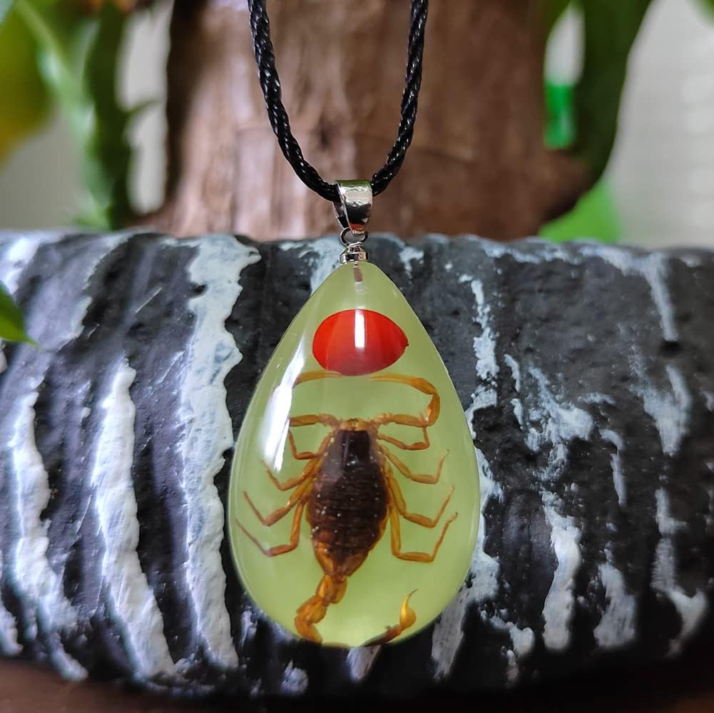 Glow in the Dark Necklace Black Scorpion Amber Resin Adjustable Necklace Pendent with Insect Sample Inside Birthday Gift for Lover Friends
