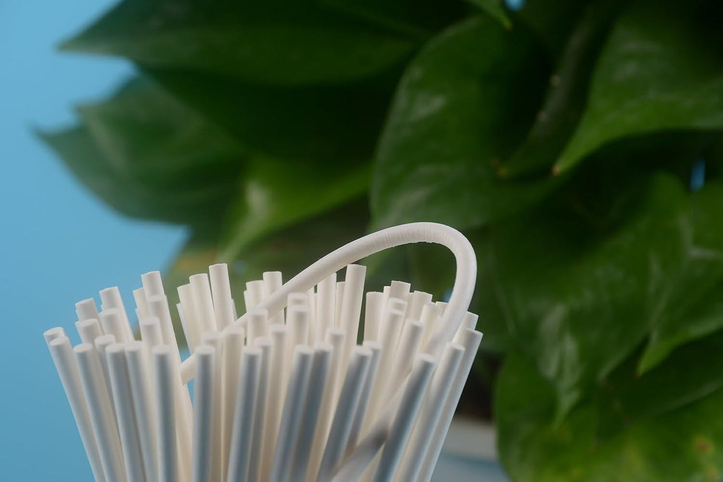 COOLAKE Lollipop Sticks 100 Pack 6 Inch Paper Candy Making Sucker Sticks for Cake Topper, DIY Homemade Fruit Candy, Chocolate