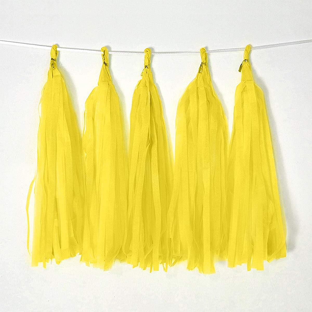 9.8in Blue Tissue Paper Tassel DIY Hanging paper decorations Party Garland Decor for Party Decorations Wedding,Festival,Baby Shower Decoration 20PCS25cm