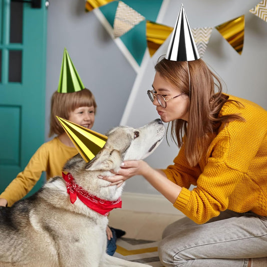 24PCS Colorful Birthday Party Hats Mini Party Hats for Adults Small Metallic Foil Cone Hat for Birthday Carnival Party Supplies, Accessories