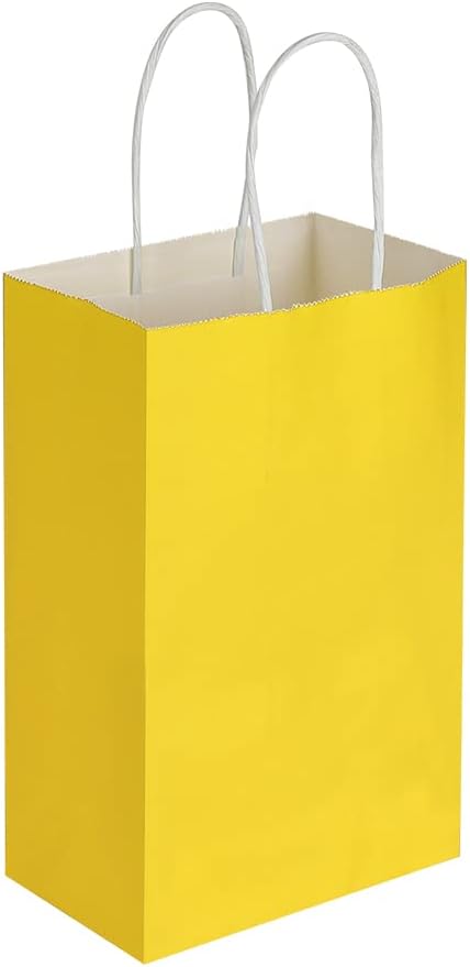 Oikss 100 Pack 5.25x3.25x8.25 Inch Small White Kraft Paper Bags with Handles Bulk for Birthday Wedding Party Favors Grocery Retail Shopping Business Goody Craft Gift Bags Cub Sacks (100pcs Count)
