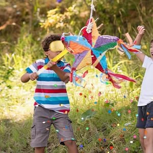 Rose Red Pinata Stick Kit with Blindfold, Rope and Confetti - Perfect for Kids Girls Birthday, Baby Shower, Carnivals Party Supplies