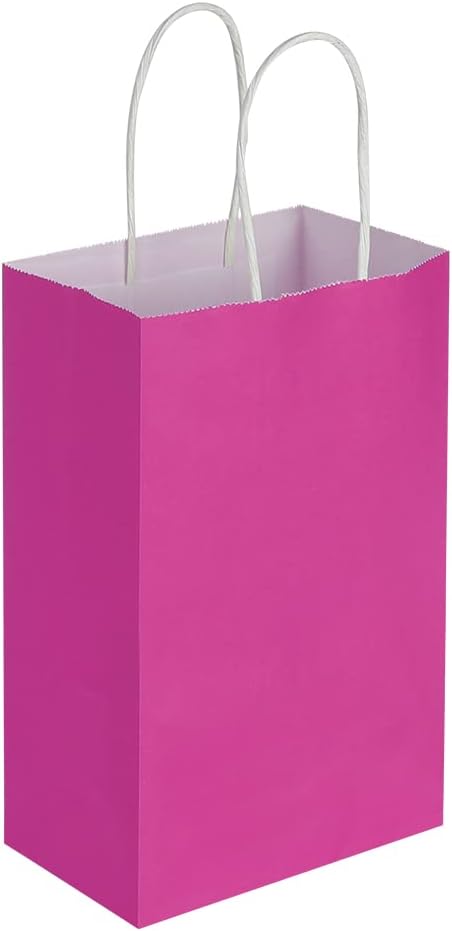 Oikss 100 Pack 5.25x3.25x8.25 Inch Small White Kraft Paper Bags with Handles Bulk for Birthday Wedding Party Favors Grocery Retail Shopping Business Goody Craft Gift Bags Cub Sacks (100pcs Count)