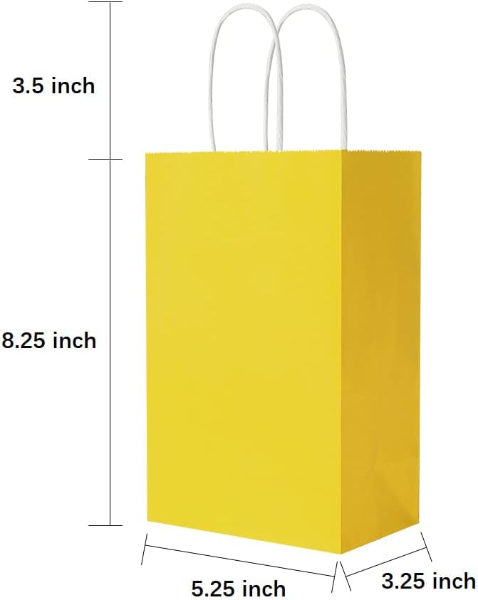 Oikss 100 Pack 5.25x3.25x8.25 Inch Small White Kraft Paper Bags with Handles Bulk for Birthday Wedding Party Favors Grocery Retail Shopping Business Goody Craft Gift Bags Cub Sacks (100pcs Count)