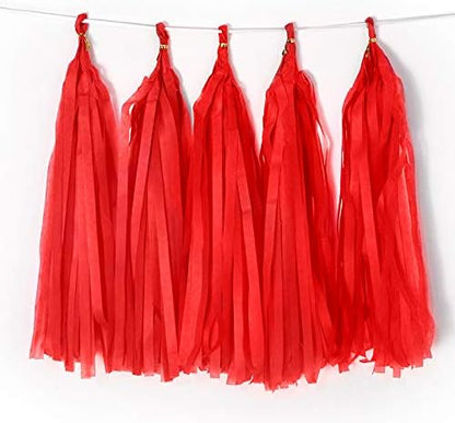 9.8in Blue Tissue Paper Tassel DIY Hanging paper decorations Party Garland Decor for Party Decorations Wedding,Festival,Baby Shower Decoration 20PCS25cm