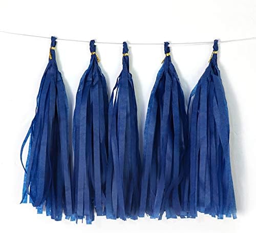 9.8in Blue Tissue Paper Tassel DIY Hanging paper decorations Party Garland Decor for Party Decorations Wedding,Festival,Baby Shower Decoration 20PCS25cm