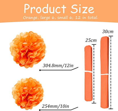 Yosawa 12 Pcs Tissue Paper Pom Poms Flowers,10''12''Paper Flower Party Decorations for Wedding Birthday Baby Shower Baby Girl Room Nursery Decoration（Sky Blue/ZH）
