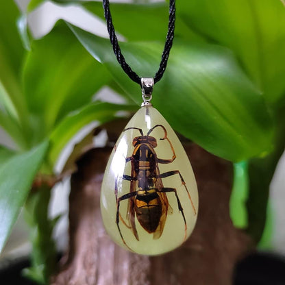 Glow in the Dark Necklace Black Scorpion Amber Resin Adjustable Necklace Pendent with Insect Sample Inside Birthday Gift for Lover Friends