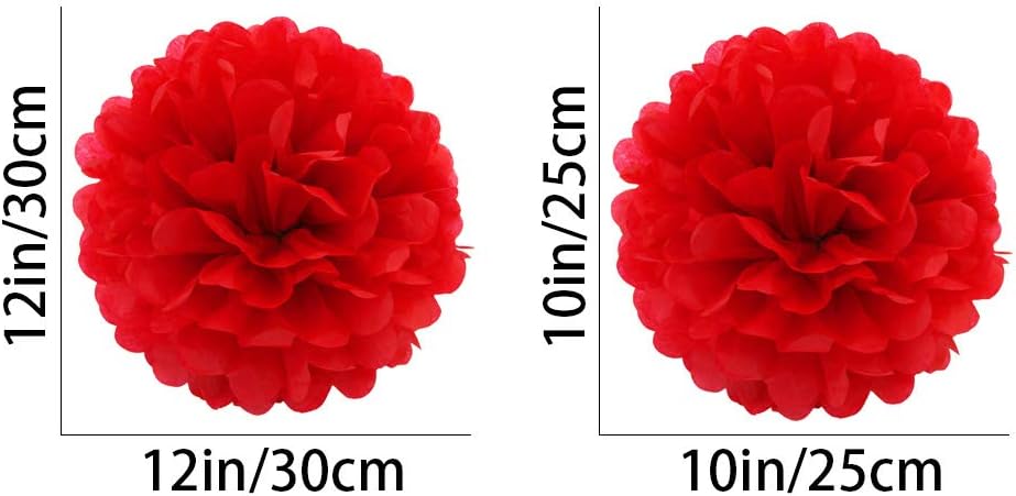 White Paper Pom Poms - Party Tissue Paper Flowers Balls - Party Hanging Decoration Supplies - Size of 10inch, 12inch, Great for Wedding, Birthday, Any Parties and Events (12 PCS)