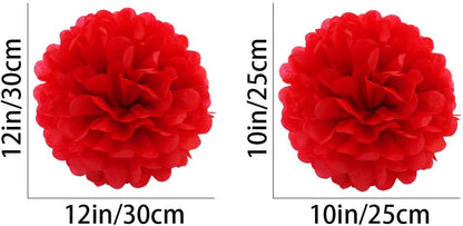 White Paper Pom Poms - Party Tissue Paper Flowers Balls - Party Hanging Decoration Supplies - Size of 10inch, 12inch, Great for Wedding, Birthday, Any Parties and Events (12 PCS)