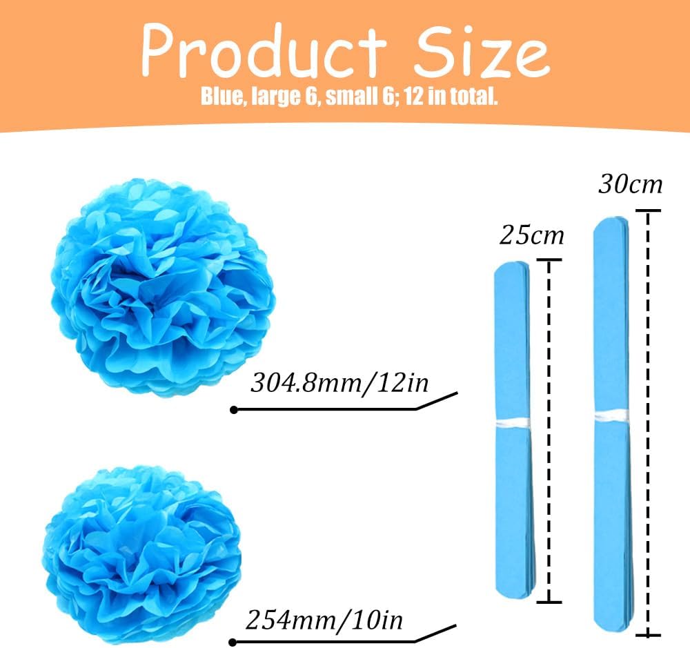 Yosawa 12 Pcs Tissue Paper Pom Poms Flowers,10''12''Paper Flower Party Decorations for Wedding Birthday Baby Shower Baby Girl Room Nursery Decoration（Sky Blue/ZH）