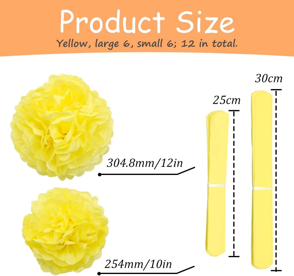 Yosawa 12 Pcs Tissue Paper Pom Poms Flowers,10''12''Paper Flower Party Decorations for Wedding Birthday Baby Shower Baby Girl Room Nursery Decoration（Sky Blue/ZH）