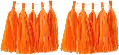 30pcs Paper Tassels Garland Banner Tissue Paper Tassel DIY Hanging Paper Decorations Party Tassel Garland Decor Baby Shower Nursery Wedding Festival Baby Shower Decoration(30, White)