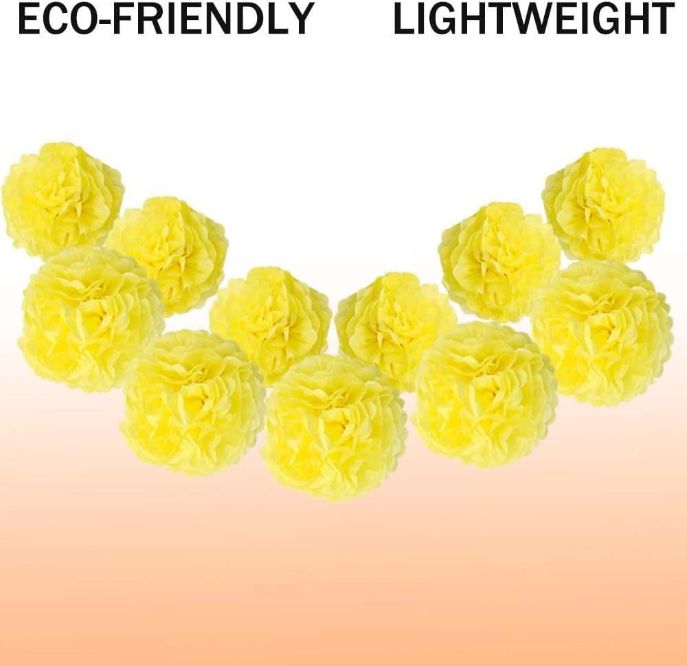 Yosawa 12 Pcs Tissue Paper Pom Poms Flowers,10''12''Paper Flower Party Decorations for Wedding Birthday Baby Shower Baby Girl Room Nursery Decoration（Sky Blue/ZH）
