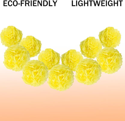 Yosawa 12 Pcs Tissue Paper Pom Poms Flowers,10''12''Paper Flower Party Decorations for Wedding Birthday Baby Shower Baby Girl Room Nursery Decoration（Sky Blue/ZH）