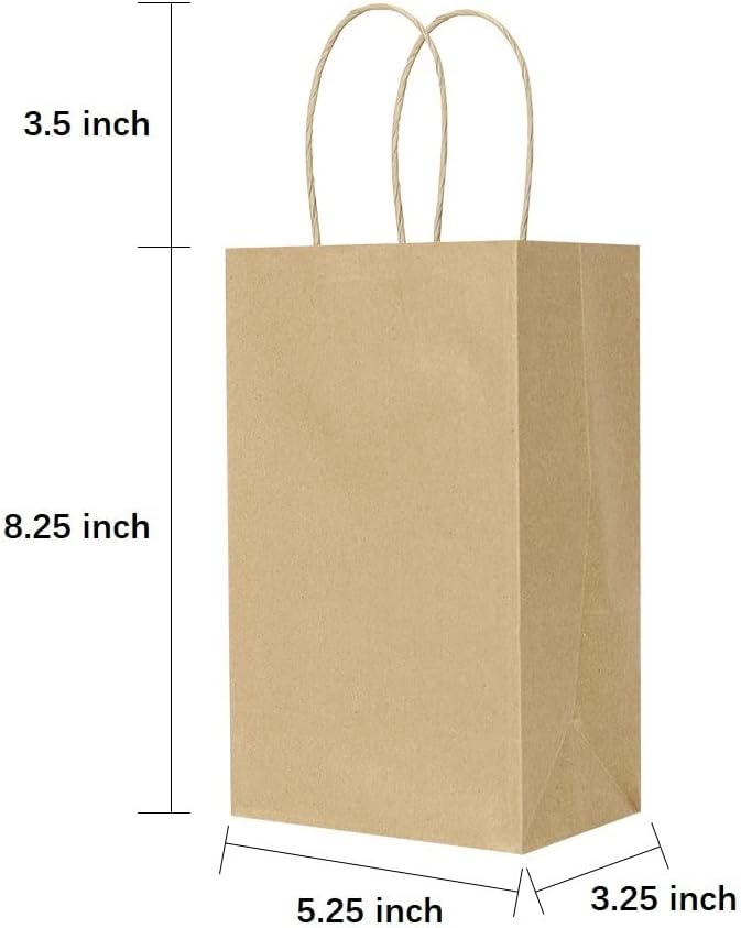 Oikss 100 Pack 5.25x3.25x8.25 Inch Small White Kraft Paper Bags with Handles Bulk for Birthday Wedding Party Favors Grocery Retail Shopping Business Goody Craft Gift Bags Cub Sacks (100pcs Count)