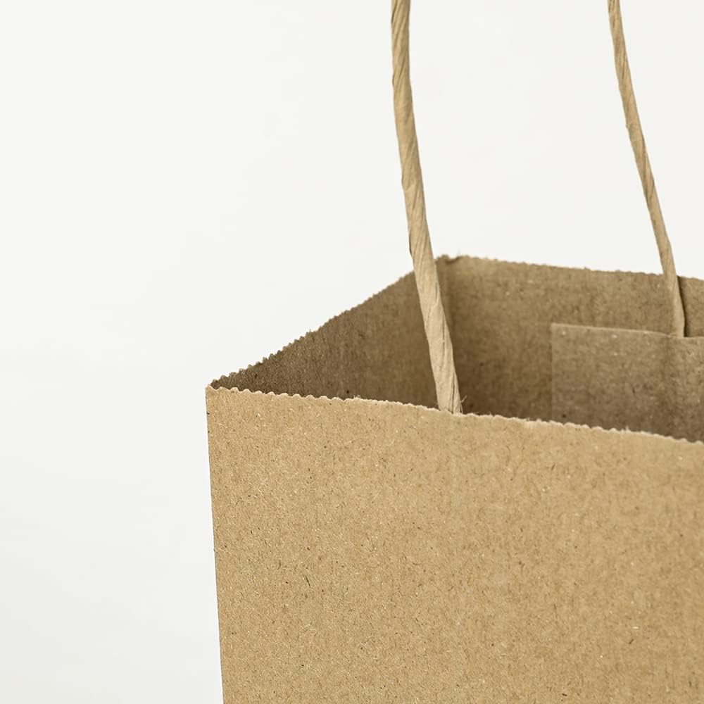 Oikss 100 Pack 5.25x3.25x8.25 Inch Small White Kraft Paper Bags with Handles Bulk for Birthday Wedding Party Favors Grocery Retail Shopping Business Goody Craft Gift Bags Cub Sacks (100pcs Count)