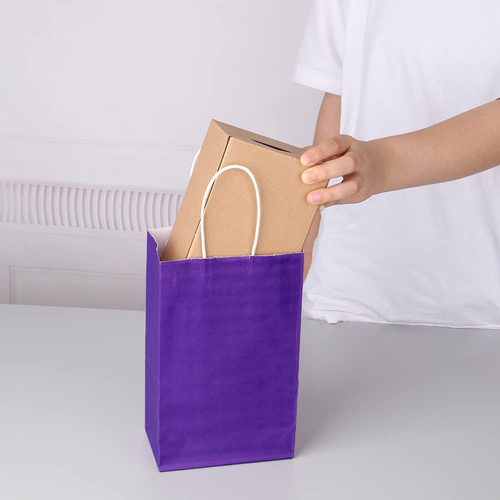 Oikss 100 Pack 5.25x3.25x8.25 Inch Small White Kraft Paper Bags with Handles Bulk for Birthday Wedding Party Favors Grocery Retail Shopping Business Goody Craft Gift Bags Cub Sacks (100pcs Count)