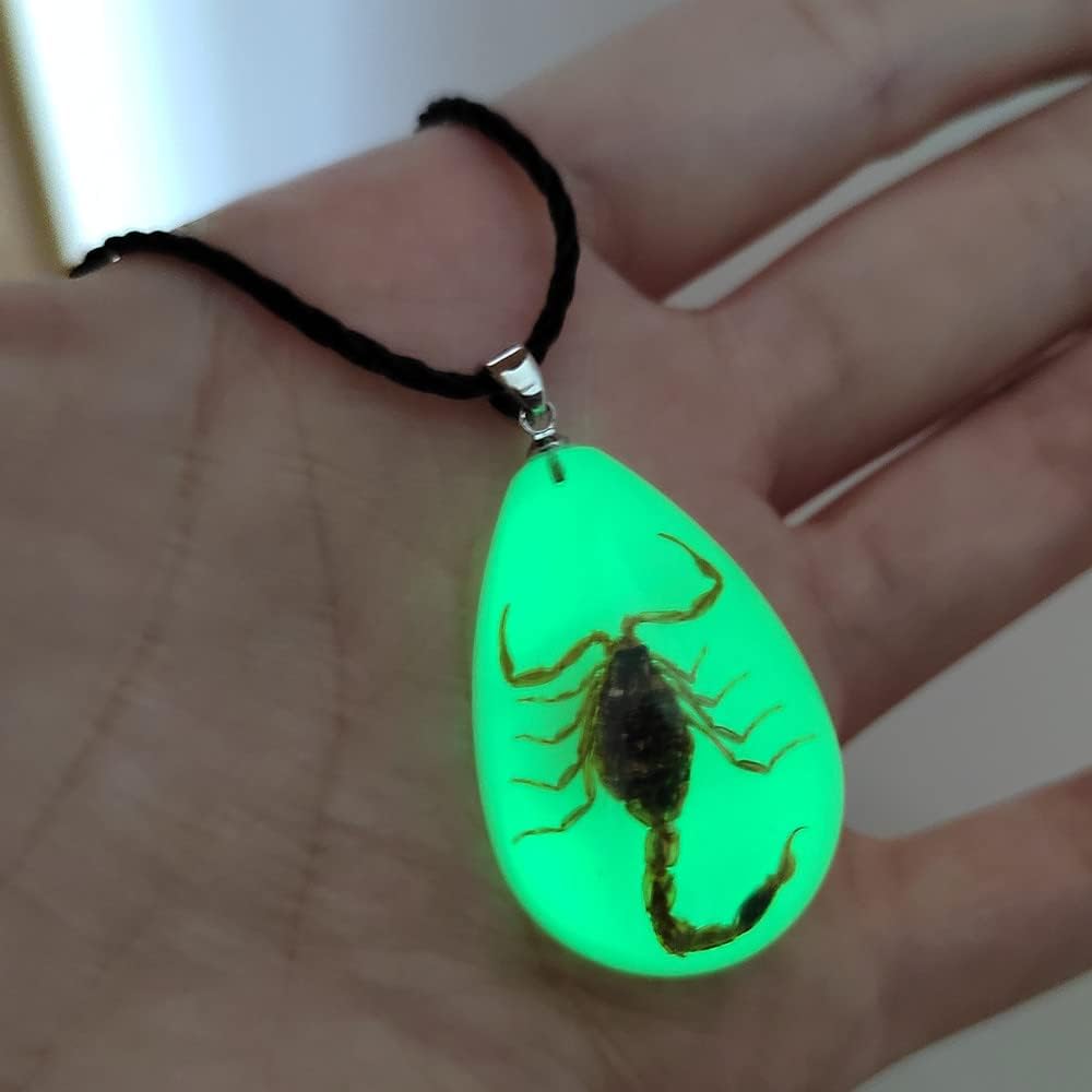 Glow in the Dark Necklace Black Scorpion Amber Resin Adjustable Necklace Pendent with Insect Sample Inside Birthday Gift for Lover Friends