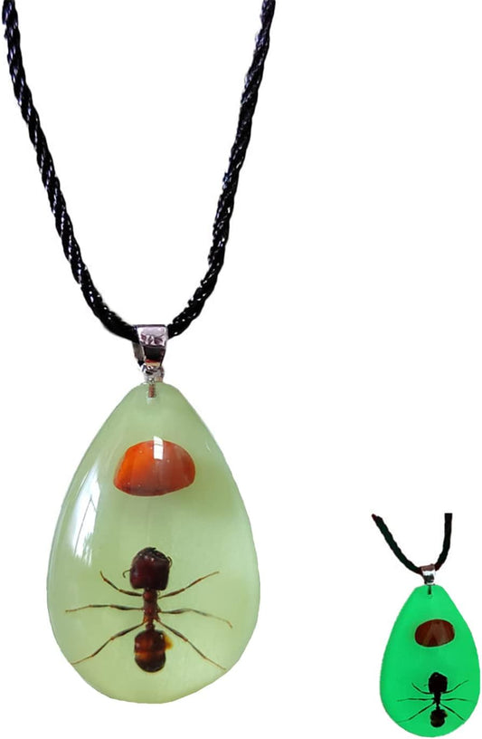 Glow in the Dark Necklace Black Scorpion Amber Resin Adjustable Necklace Pendent with Insect Sample Inside Birthday Gift for Lover Friends