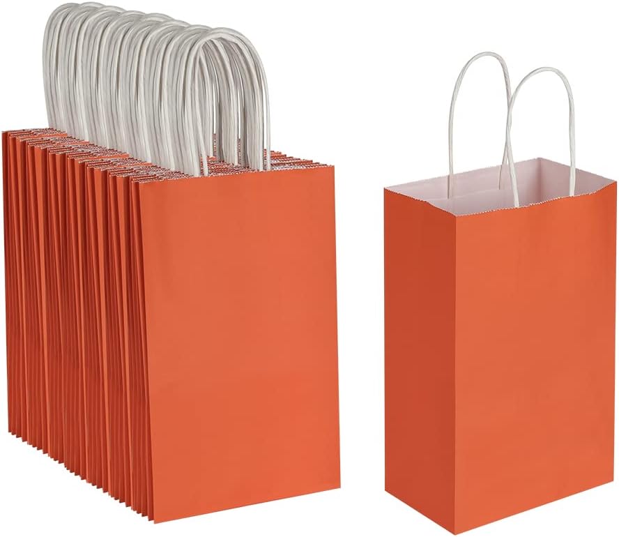 Oikss 100 Pack 5.25x3.25x8.25 Inch Small White Kraft Paper Bags with Handles Bulk for Birthday Wedding Party Favors Grocery Retail Shopping Business Goody Craft Gift Bags Cub Sacks (100pcs Count)