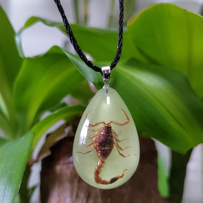 Glow in the Dark Necklace Black Scorpion Amber Resin Adjustable Necklace Pendent with Insect Sample Inside Birthday Gift for Lover Friends