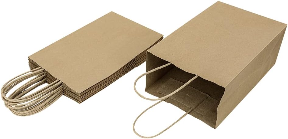 Oikss 100 Pack 5.25x3.25x8.25 Inch Small White Kraft Paper Bags with Handles Bulk for Birthday Wedding Party Favors Grocery Retail Shopping Business Goody Craft Gift Bags Cub Sacks (100pcs Count)