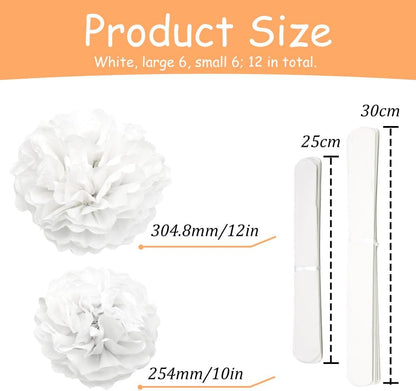 Yosawa 12 Pcs Tissue Paper Pom Poms Flowers,10''12''Paper Flower Party Decorations for Wedding Birthday Baby Shower Baby Girl Room Nursery Decoration（Sky Blue/ZH）