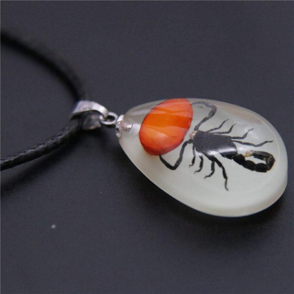 Glow in the Dark Necklace Black Scorpion Amber Resin Adjustable Necklace Pendent with Insect Sample Inside Birthday Gift for Lover Friends