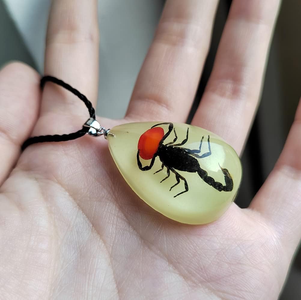 Glow in the Dark Necklace Black Scorpion Amber Resin Adjustable Necklace Pendent with Insect Sample Inside Birthday Gift for Lover Friends
