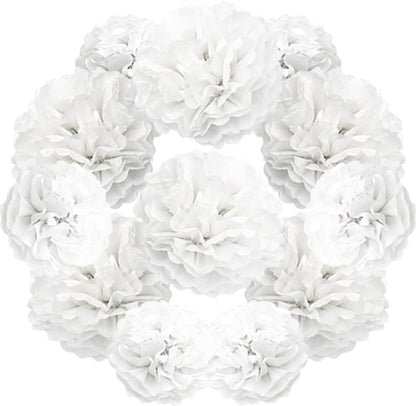 Yosawa 12 Pcs Tissue Paper Pom Poms Flowers,10''12''Paper Flower Party Decorations for Wedding Birthday Baby Shower Baby Girl Room Nursery Decoration（Sky Blue/ZH）