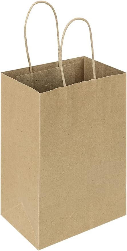 Oikss 100 Pack 5.25x3.25x8.25 Inch Small White Kraft Paper Bags with Handles Bulk for Birthday Wedding Party Favors Grocery Retail Shopping Business Goody Craft Gift Bags Cub Sacks (100pcs Count)