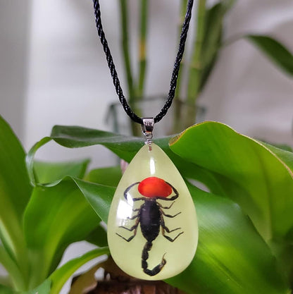 Glow in the Dark Necklace Black Scorpion Amber Resin Adjustable Necklace Pendent with Insect Sample Inside Birthday Gift for Lover Friends
