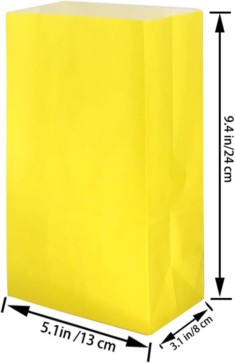 Future Life 24 pcs Rainbow Party Favor Paper Bags, 5.2 * 3.2 * 9.6 Inch, Food Safe Kraft Paper and Ink, Natural (Biodegradable), Vivid Colored,Give Away Bags.