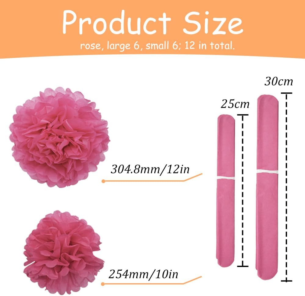 Yosawa 12 Pcs Tissue Paper Pom Poms Flowers,10''12''Paper Flower Party Decorations for Wedding Birthday Baby Shower Baby Girl Room Nursery Decoration（Sky Blue/ZH）