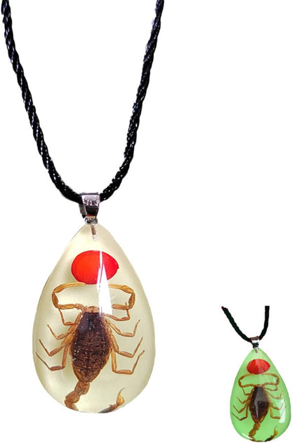 Glow in the Dark Necklace Black Scorpion Amber Resin Adjustable Necklace Pendent with Insect Sample Inside Birthday Gift for Lover Friends