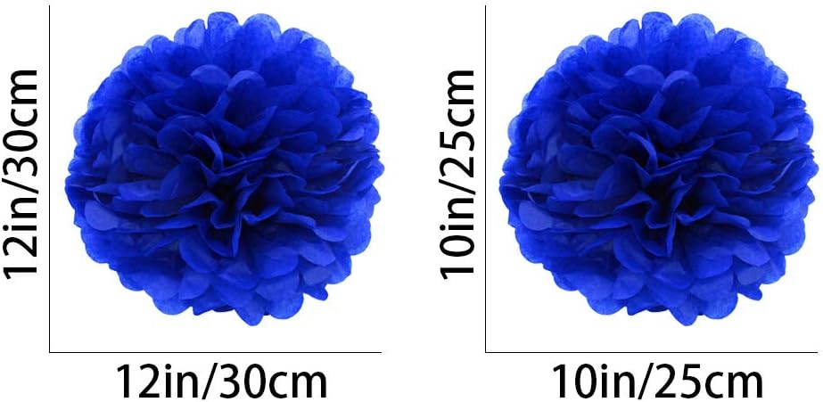 White Paper Pom Poms - Party Tissue Paper Flowers Balls - Party Hanging Decoration Supplies - Size of 10inch, 12inch, Great for Wedding, Birthday, Any Parties and Events (12 PCS)