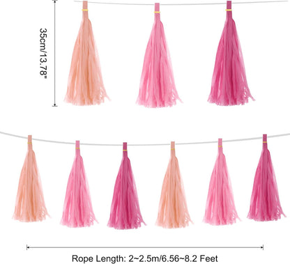 MECCANIXITY 15Pcs Light Blue Tassel Garland Banner with Rope Tissue Paper Tassels Party DIY Kits for Anniversary Wedding Birthday Party