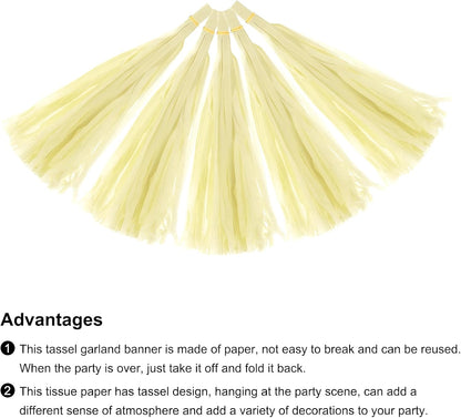 MECCANIXITY 15Pcs Light Blue Tassel Garland Banner with Rope Tissue Paper Tassels Party DIY Kits for Anniversary Wedding Birthday Party