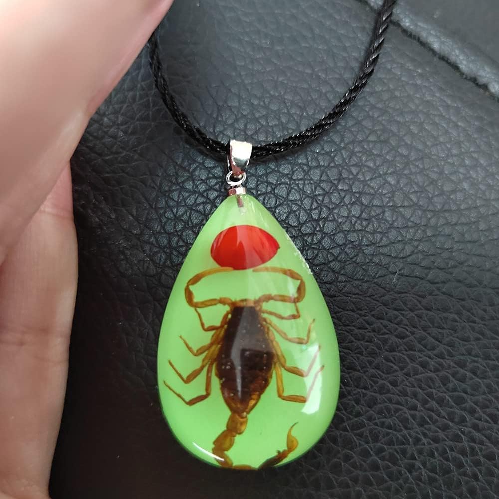 Glow in the Dark Necklace Black Scorpion Amber Resin Adjustable Necklace Pendent with Insect Sample Inside Birthday Gift for Lover Friends