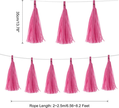 MECCANIXITY 20Pcs Light Blue Tassel Garland Banner with Rope Tissue Paper Tassels Party DIY Kits for Anniversary Wedding Birthday Party