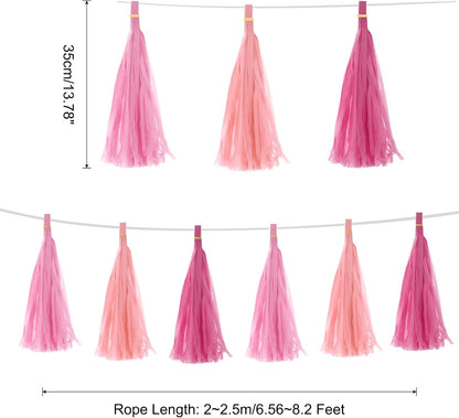 MECCANIXITY 15Pcs Light Blue Tassel Garland Banner with Rope Tissue Paper Tassels Party DIY Kits for Anniversary Wedding Birthday Party