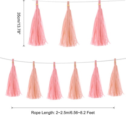 MECCANIXITY 20Pcs Light Blue Tassel Garland Banner with Rope Tissue Paper Tassels Party DIY Kits for Anniversary Wedding Birthday Party