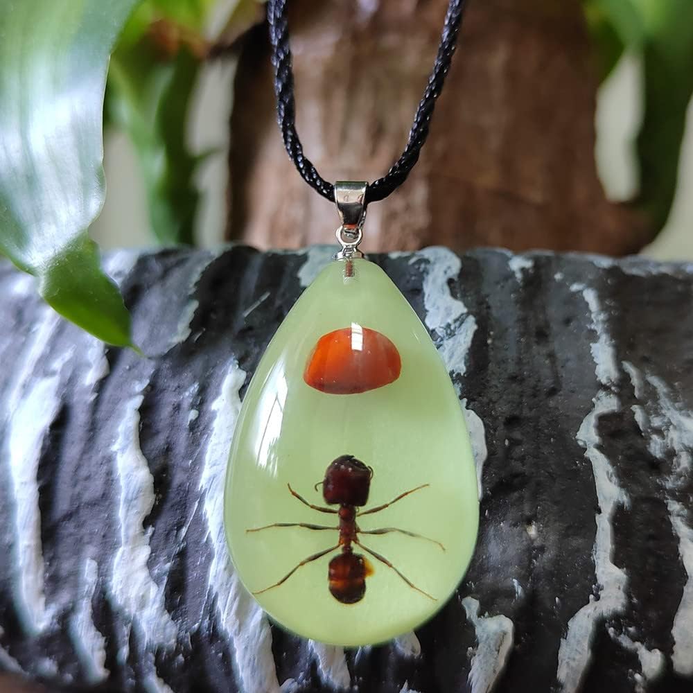 Glow in the Dark Necklace Black Scorpion Amber Resin Adjustable Necklace Pendent with Insect Sample Inside Birthday Gift for Lover Friends