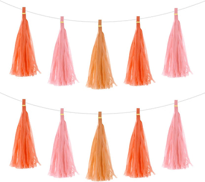 MECCANIXITY 15Pcs Light Blue Tassel Garland Banner with Rope Tissue Paper Tassels Party DIY Kits for Anniversary Wedding Birthday Party