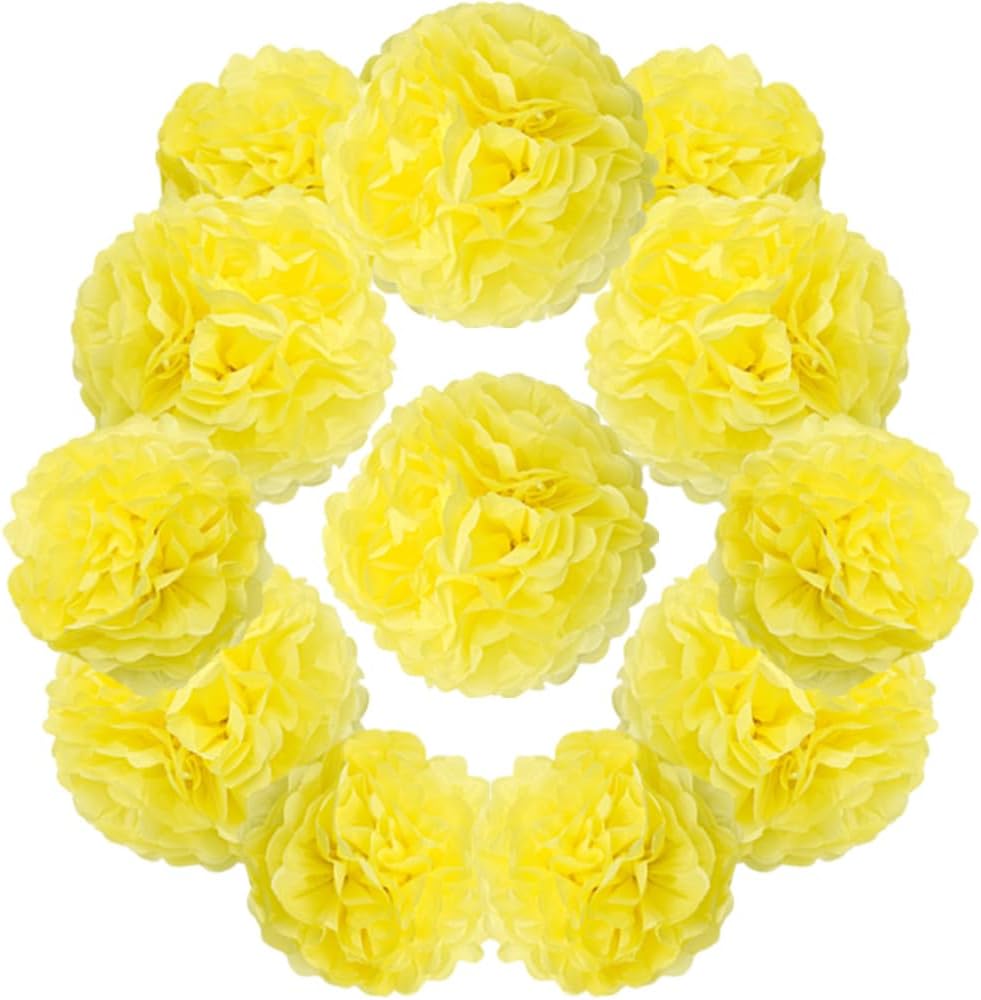 Yosawa 12 Pcs Tissue Paper Pom Poms Flowers,10''12''Paper Flower Party Decorations for Wedding Birthday Baby Shower Baby Girl Room Nursery Decoration（Sky Blue/ZH）