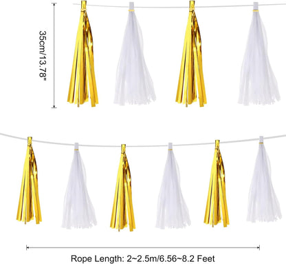 MECCANIXITY 20Pcs Light Blue Tassel Garland Banner with Rope Tissue Paper Tassels Party DIY Kits for Anniversary Wedding Birthday Party