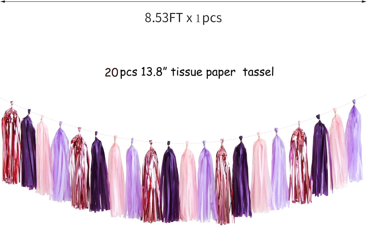 Navy-Blue White-Silver Tassel Garland Streamers - 15pcs Party Decorations Tissue Paper Tassels Banner,Graduation 2025 Wedding Baby Bridal Shower Hanging Decoration Boy Birthday Backdrop Decor Panduola