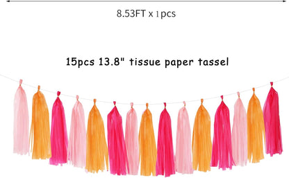 Navy-Blue White-Silver Tassel Garland Streamers - 15pcs Party Decorations Tissue Paper Tassels Banner,Graduation 2025 Wedding Baby Bridal Shower Hanging Decoration Boy Birthday Backdrop Decor Panduola